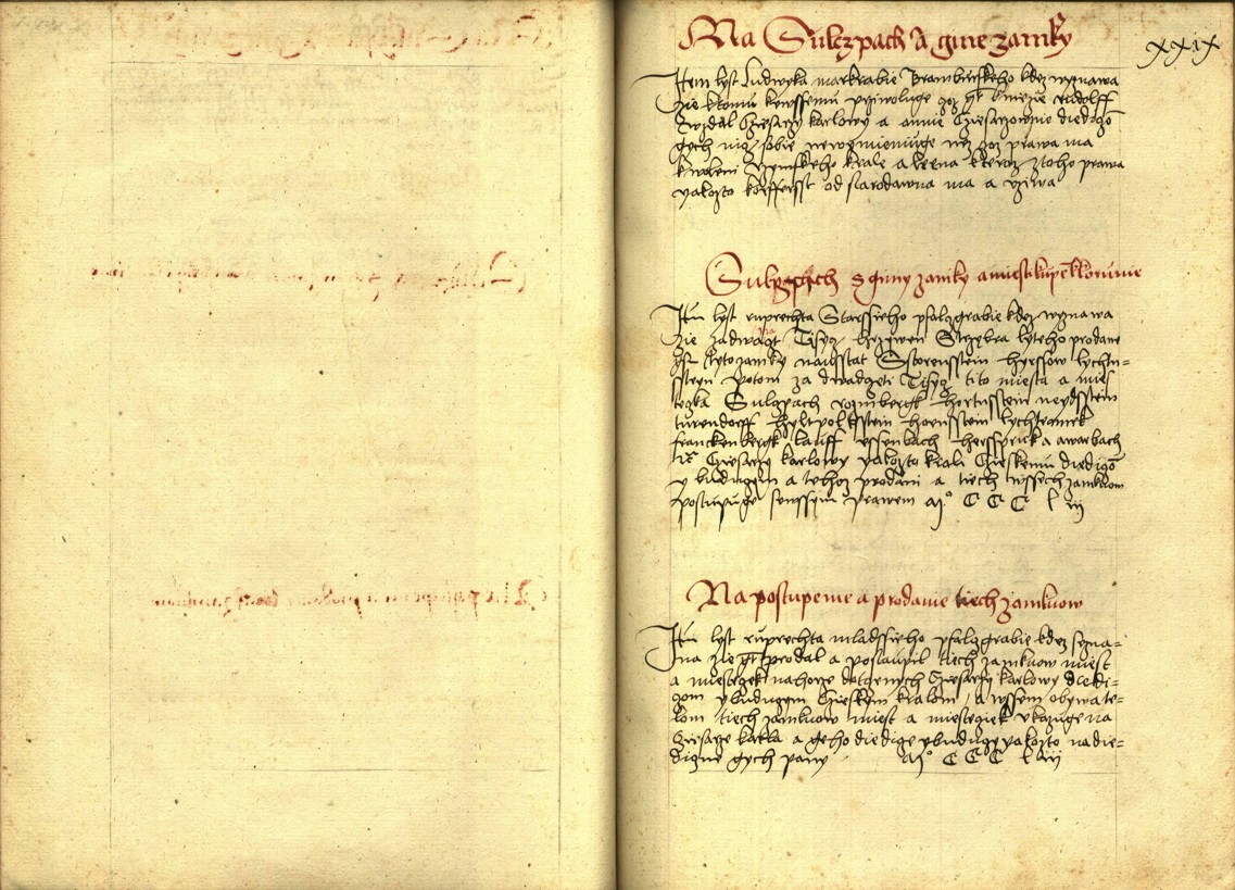 Náhledový obrázek Registrum desíti truhlic s privilegii zemskými - 100