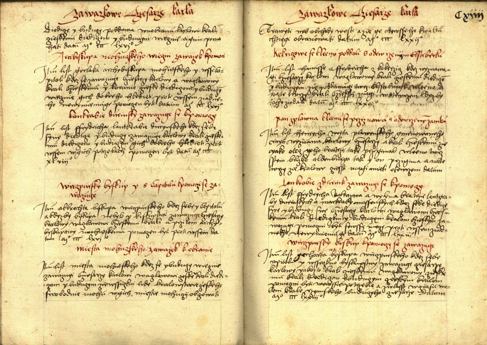 Náhledový obrázek Registrum desíti truhlic s privilegii zemskými - 63