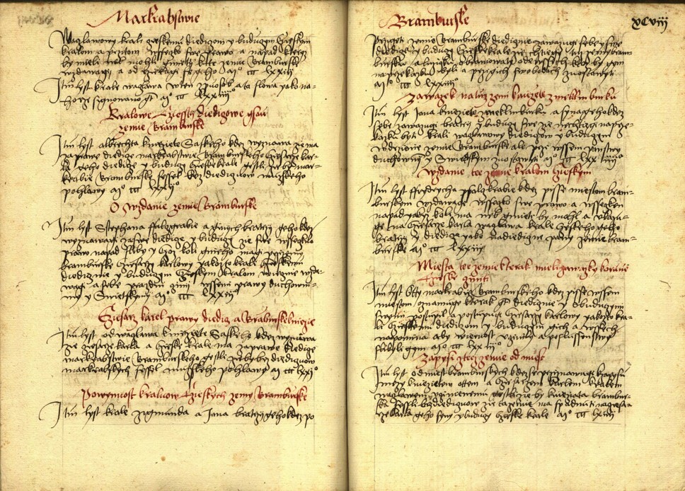 Náhledový obrázek Registrum desíti truhlic s privilegii zemskými - 30