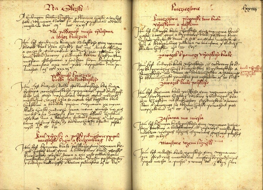 Náhledový obrázek Registrum desíti truhlic s privilegii zemskými - 5