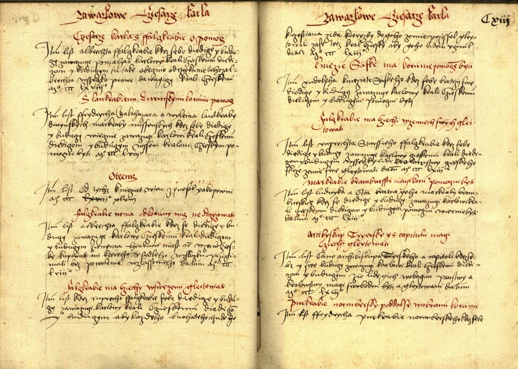 Náhledový obrázek Registrum desíti truhlic s privilegii zemskými - 45