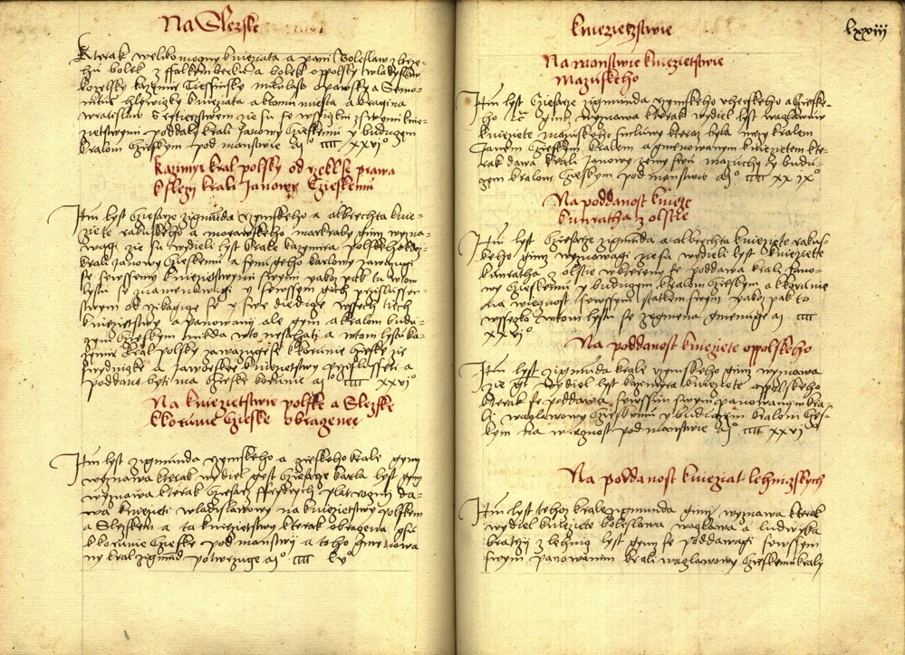 Náhledový obrázek Registrum desíti truhlic s privilegii zemskými - 4