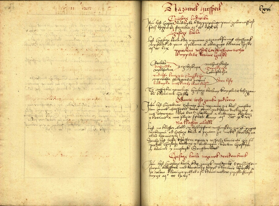 Náhledový obrázek Registrum desíti truhlic s privilegii zemskými - 120