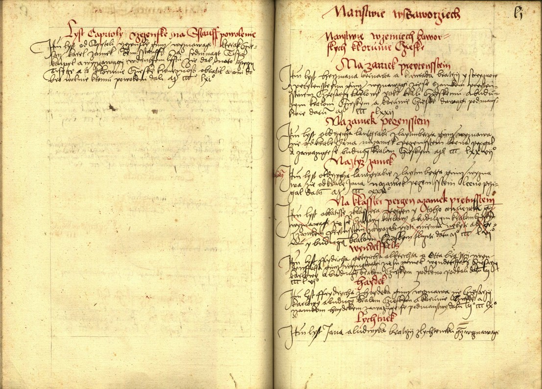 Náhledový obrázek Registrum desíti truhlic s privilegii zemskými - 48