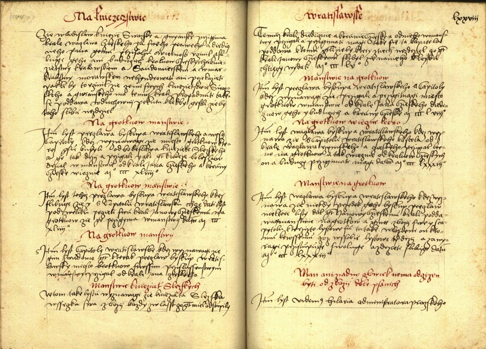 Náhledový obrázek Registrum desíti truhlic s privilegii zemskými - 9