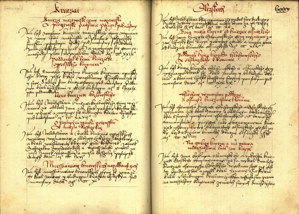 Náhledový obrázek Registrum desíti truhlic s privilegii zemskými - 17