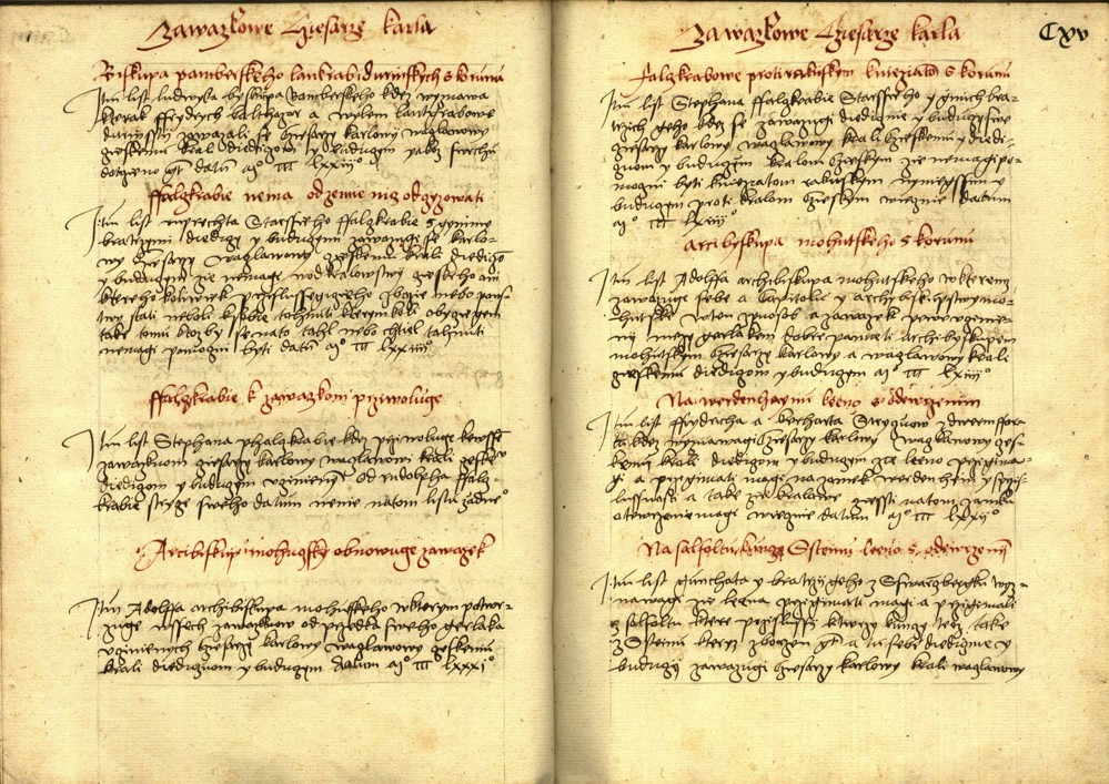 Náhledový obrázek Registrum desíti truhlic s privilegii zemskými - 64
