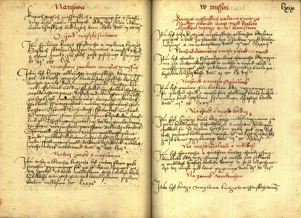 Náhledový obrázek Registrum desíti truhlic s privilegii zemskými - 11