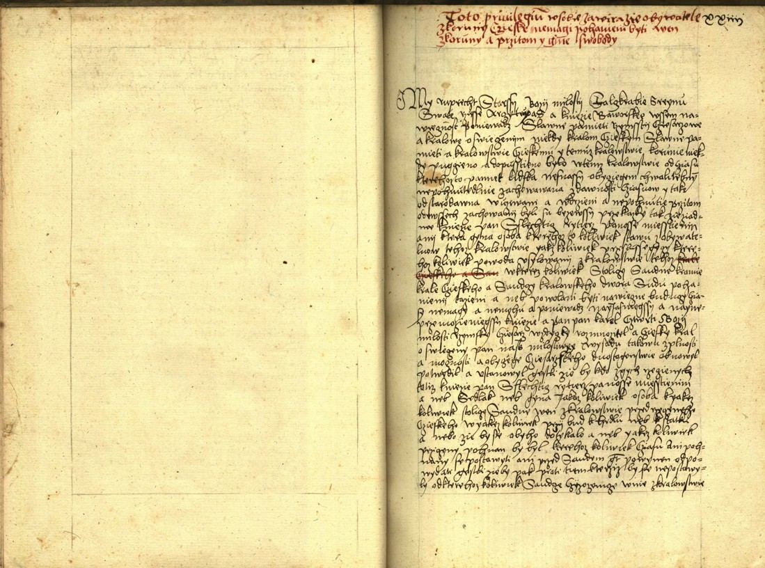 Náhledový obrázek Registrum desíti truhlic s privilegii zemskými - 94