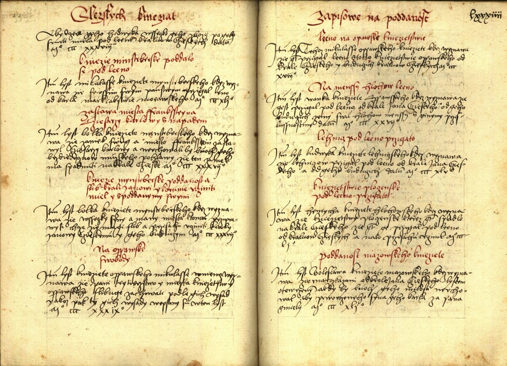 Náhledový obrázek Registrum desíti truhlic s privilegii zemskými - 16