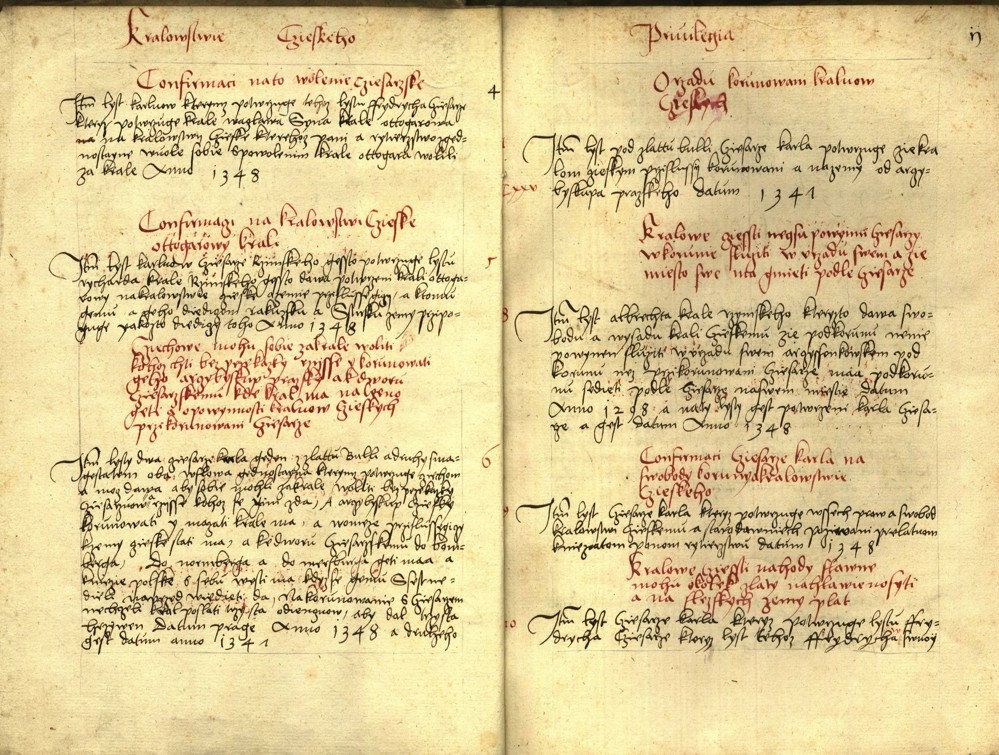 Náhledový obrázek Registrum desíti truhlic s privilegii zemskými - 73