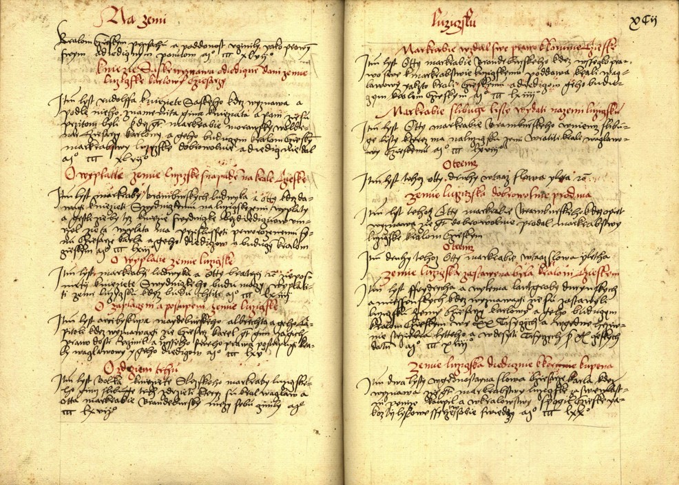 Náhledový obrázek Registrum desíti truhlic s privilegii zemskými - 24