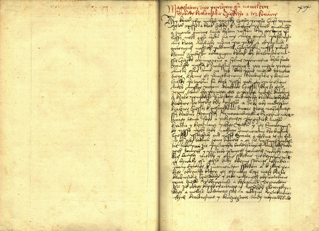Náhledový obrázek Registrum desíti truhlic s privilegii zemskými - 89