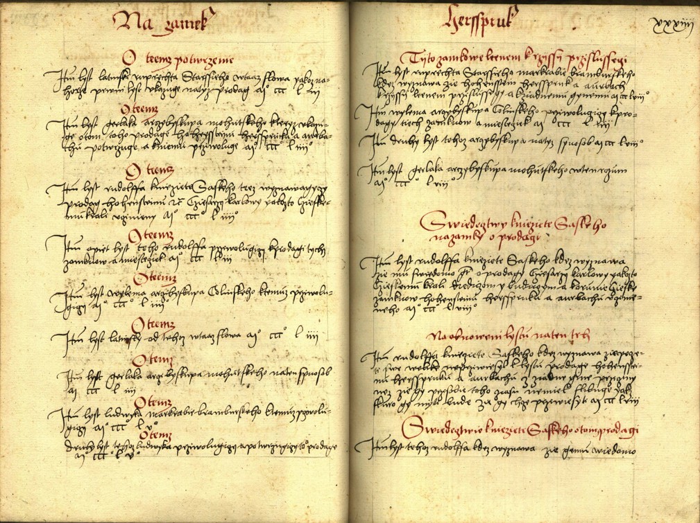 Náhledový obrázek Registrum desíti truhlic s privilegii zemskými - 105