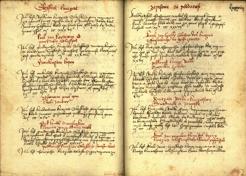 Náhledový obrázek Registrum desíti truhlic s privilegii zemskými - 15