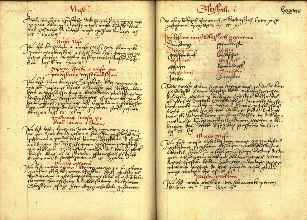 Náhledový obrázek Registrum desíti truhlic s privilegii zemskými - 20