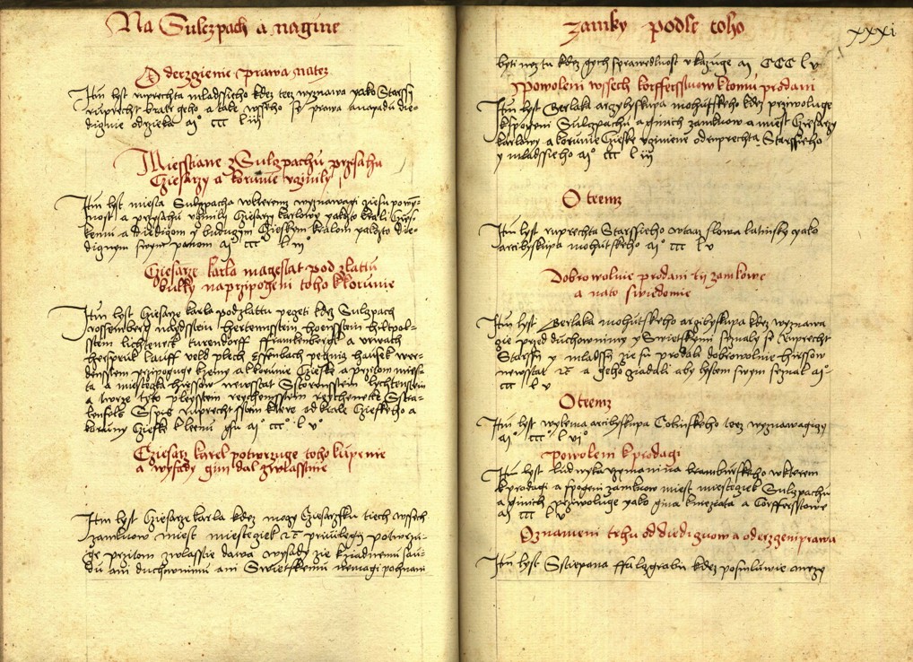Náhledový obrázek Registrum desíti truhlic s privilegii zemskými - 102