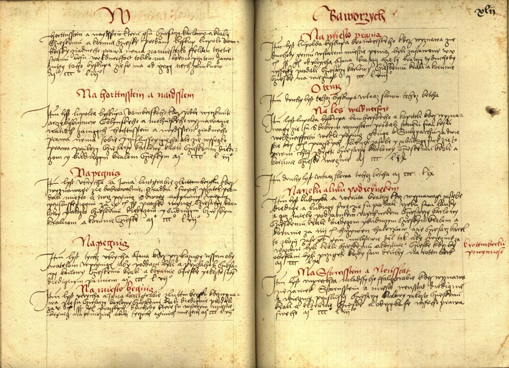 Náhledový obrázek Registrum desíti truhlic s privilegii zemskými - 113