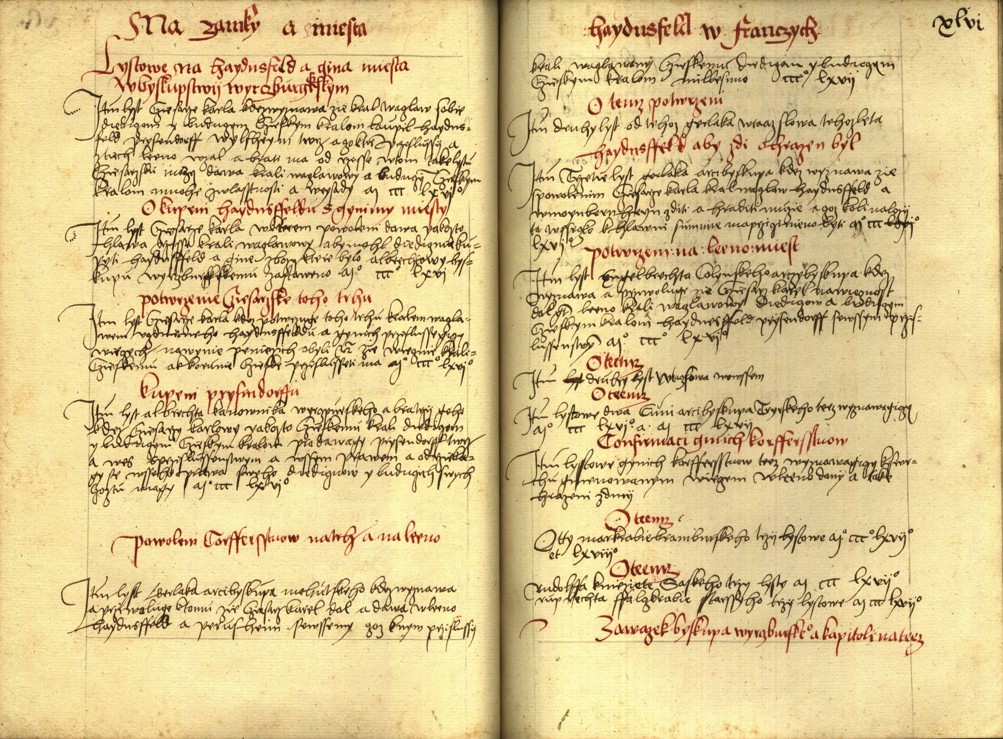 Náhledový obrázek Registrum desíti truhlic s privilegii zemskými - 117