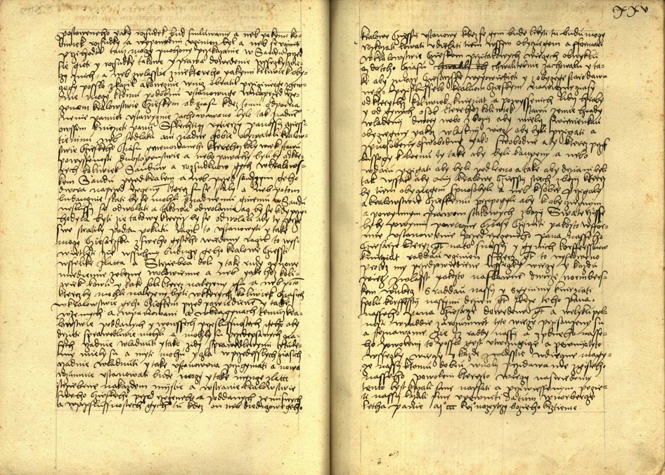 Náhledový obrázek Registrum desíti truhlic s privilegii zemskými - 95