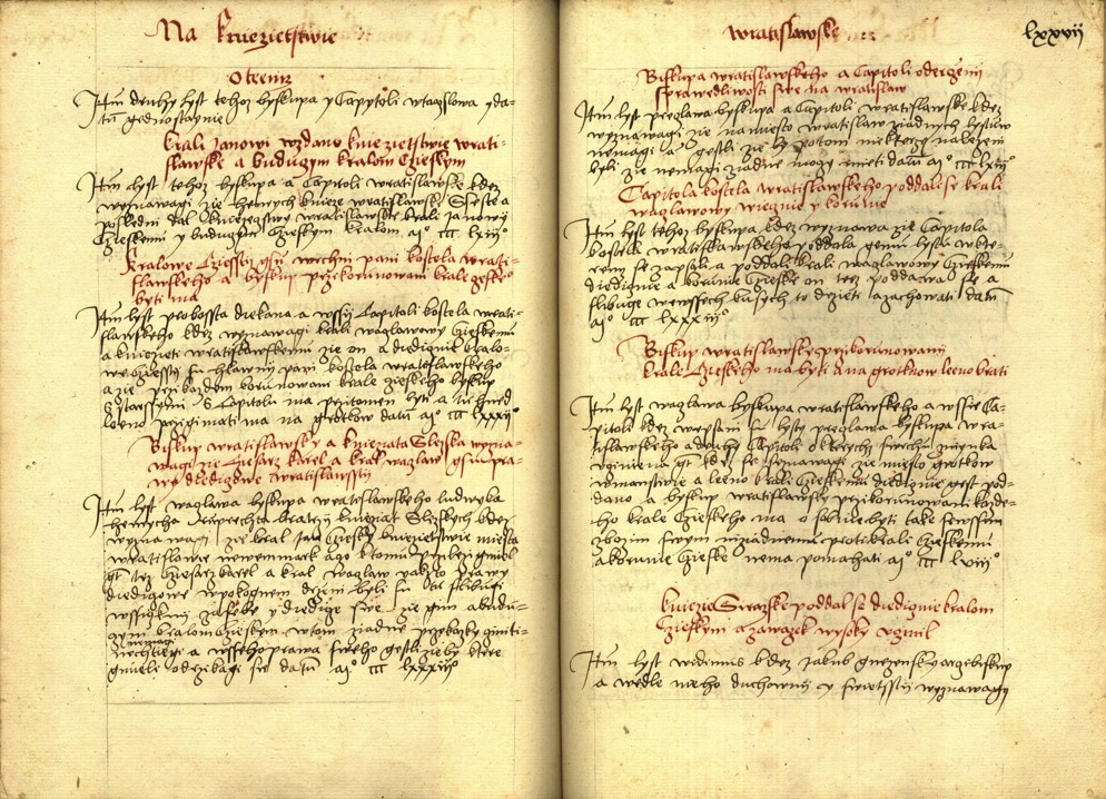 Náhledový obrázek Registrum desíti truhlic s privilegii zemskými - 8