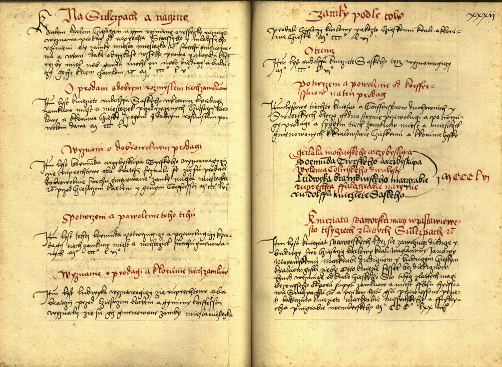 Náhledový obrázek Registrum desíti truhlic s privilegii zemskými - 103