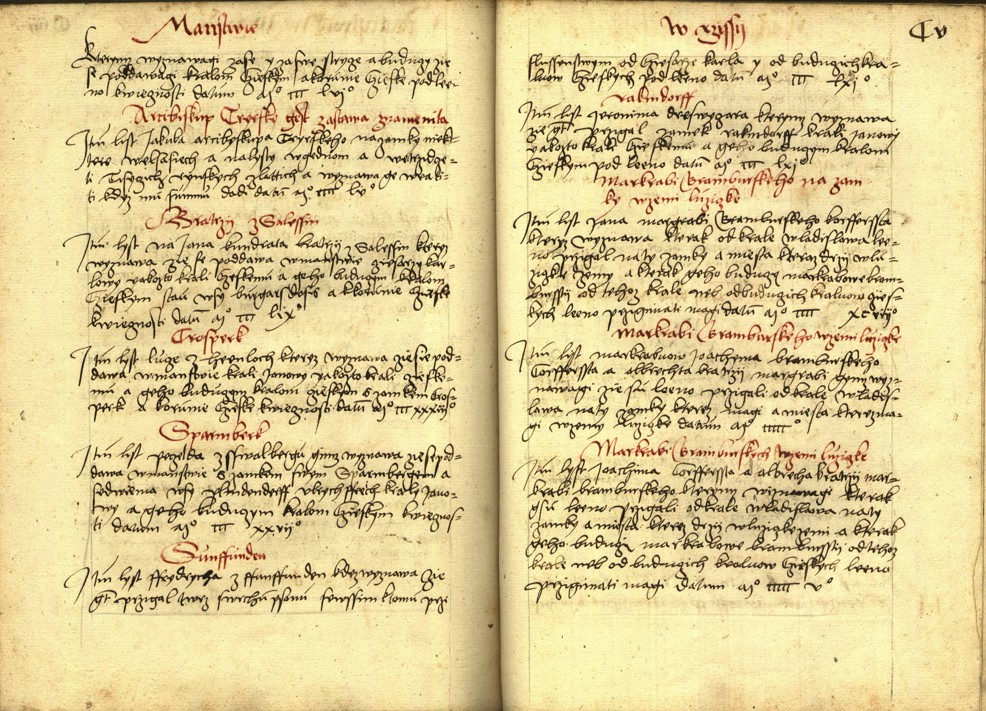 Náhledový obrázek Registrum desíti truhlic s privilegii zemskými - 37