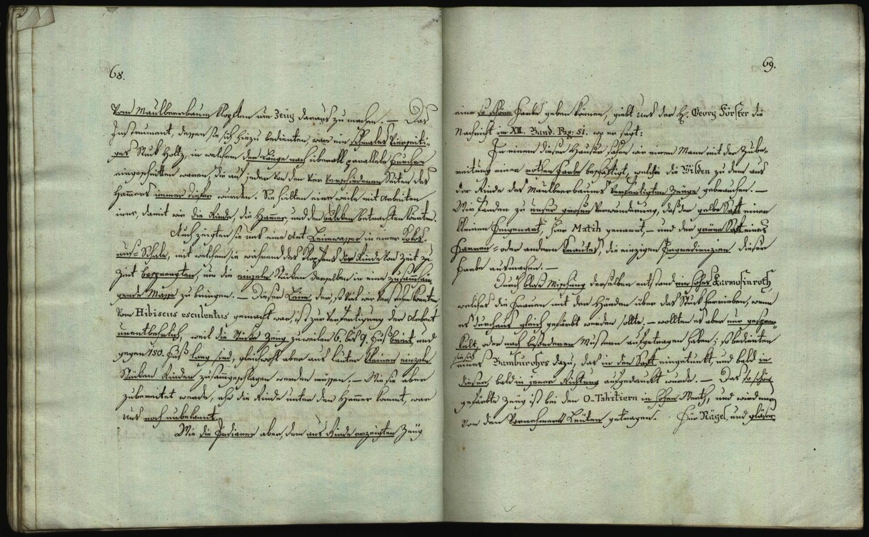 Náhledový obrázek Böhmische Alterthümer und Merckwürdigkeiten - 14