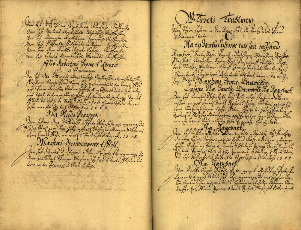 Náhledový obrázek Registrum desíti truhlic karlštejských s privilegii zemskými. - 128