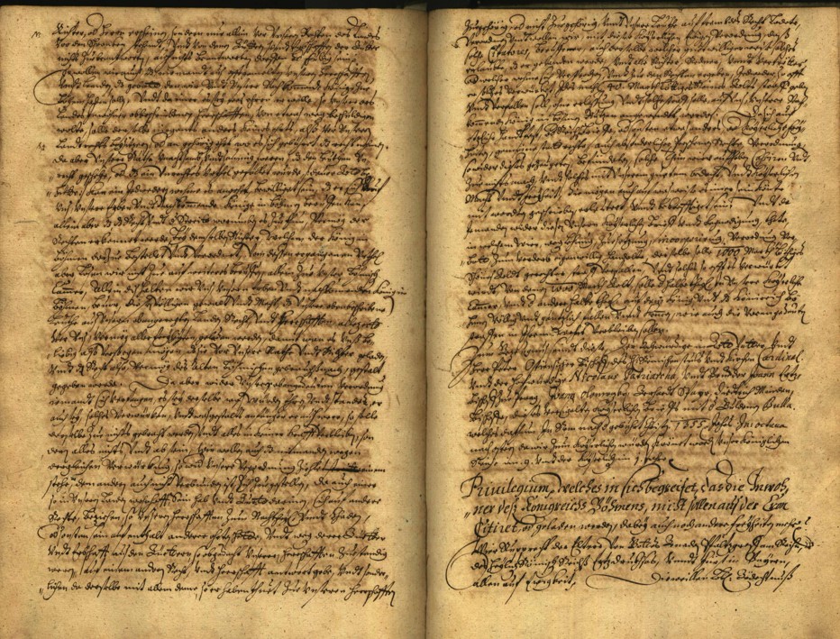 Náhledový obrázek Registrum desíti truhlic karlštejských s privilegii zemskými. - 29
