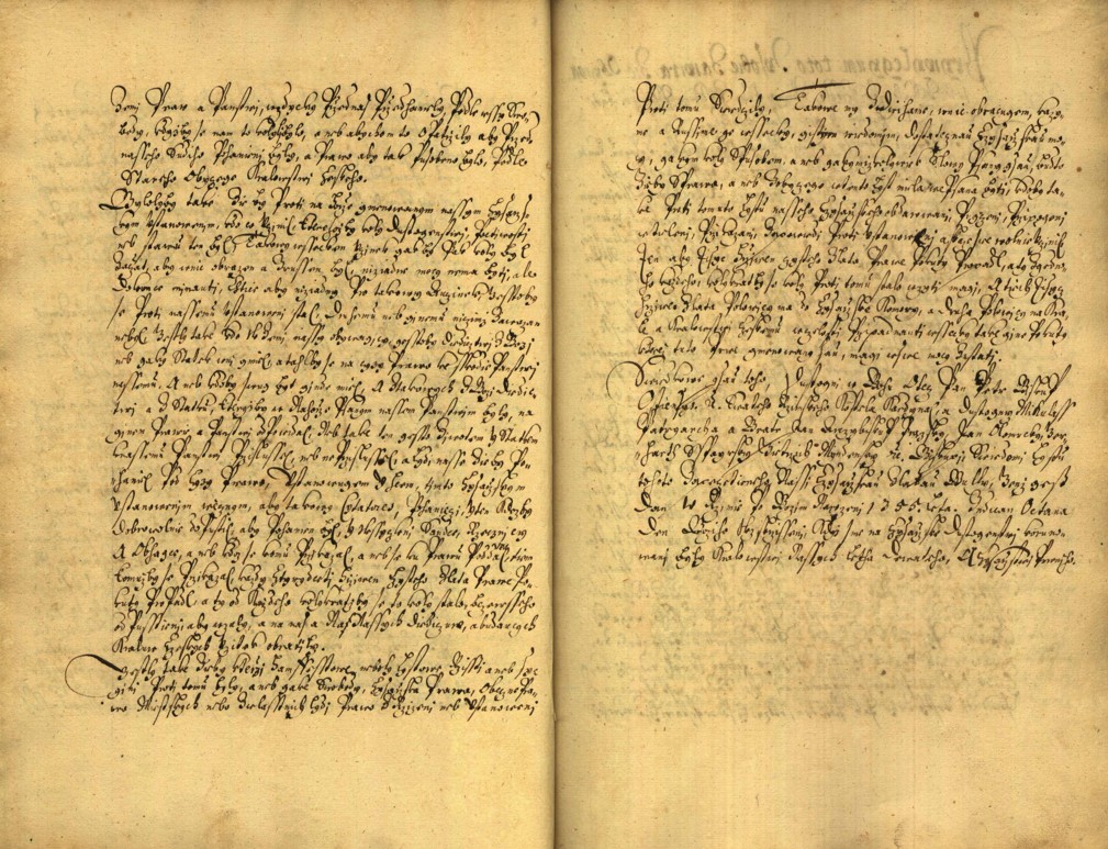 Náhledový obrázek Registrum desíti truhlic karlštejských s privilegii zemskými. - 118