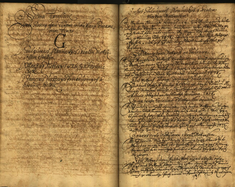 Náhledový obrázek Registrum desíti truhlic karlštejských s privilegii zemskými. - 164