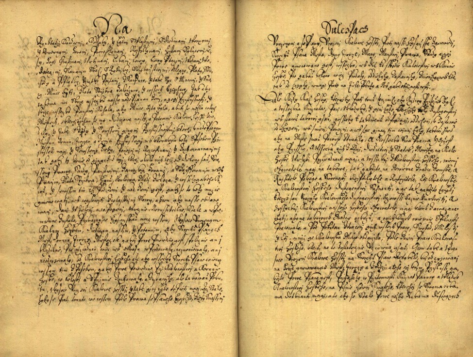 Náhledový obrázek Registrum desíti truhlic karlštejských s privilegii zemskými. - 115