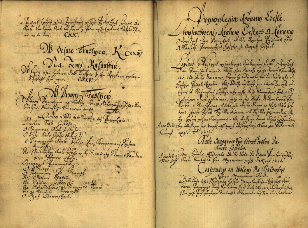 Náhledový obrázek Registrum desíti truhlic karlštejských s privilegii zemskými. - 103