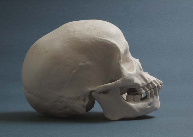 Náhledový obrázek Pygmejka, žena - 2