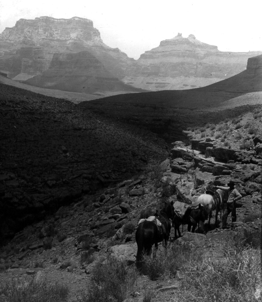 Náhledový obrázek Vrázův průvodce s koňmi u Velkého kaňonu - 1