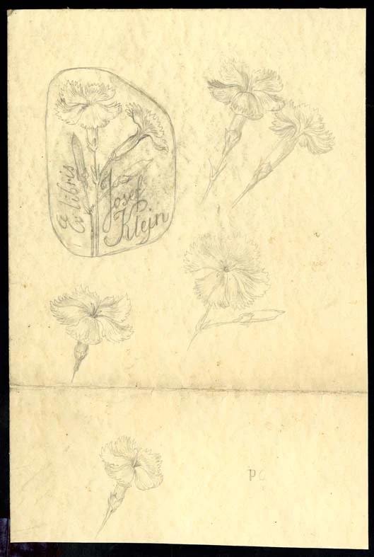 Obrázek Exlibris