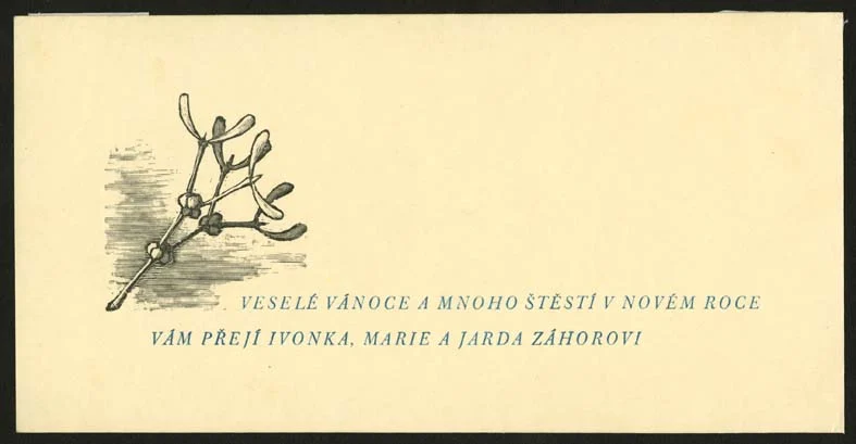 Obrázek Novoročenka