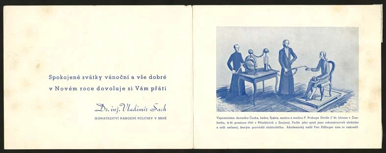 Obrázek Novoročenka