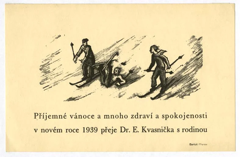 Obrázek Novoročenka