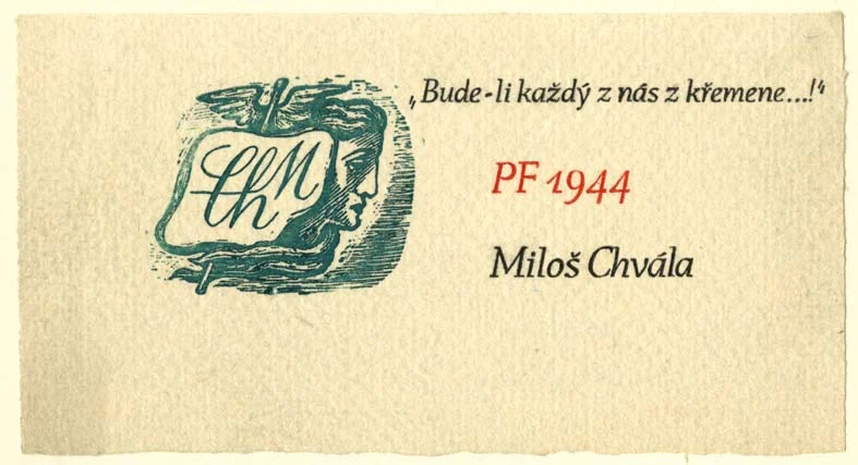 Obrázek Novoročenka