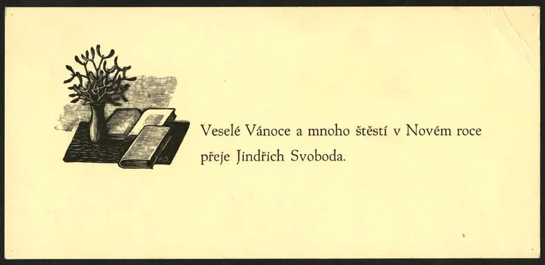 Obrázek Novoročenka