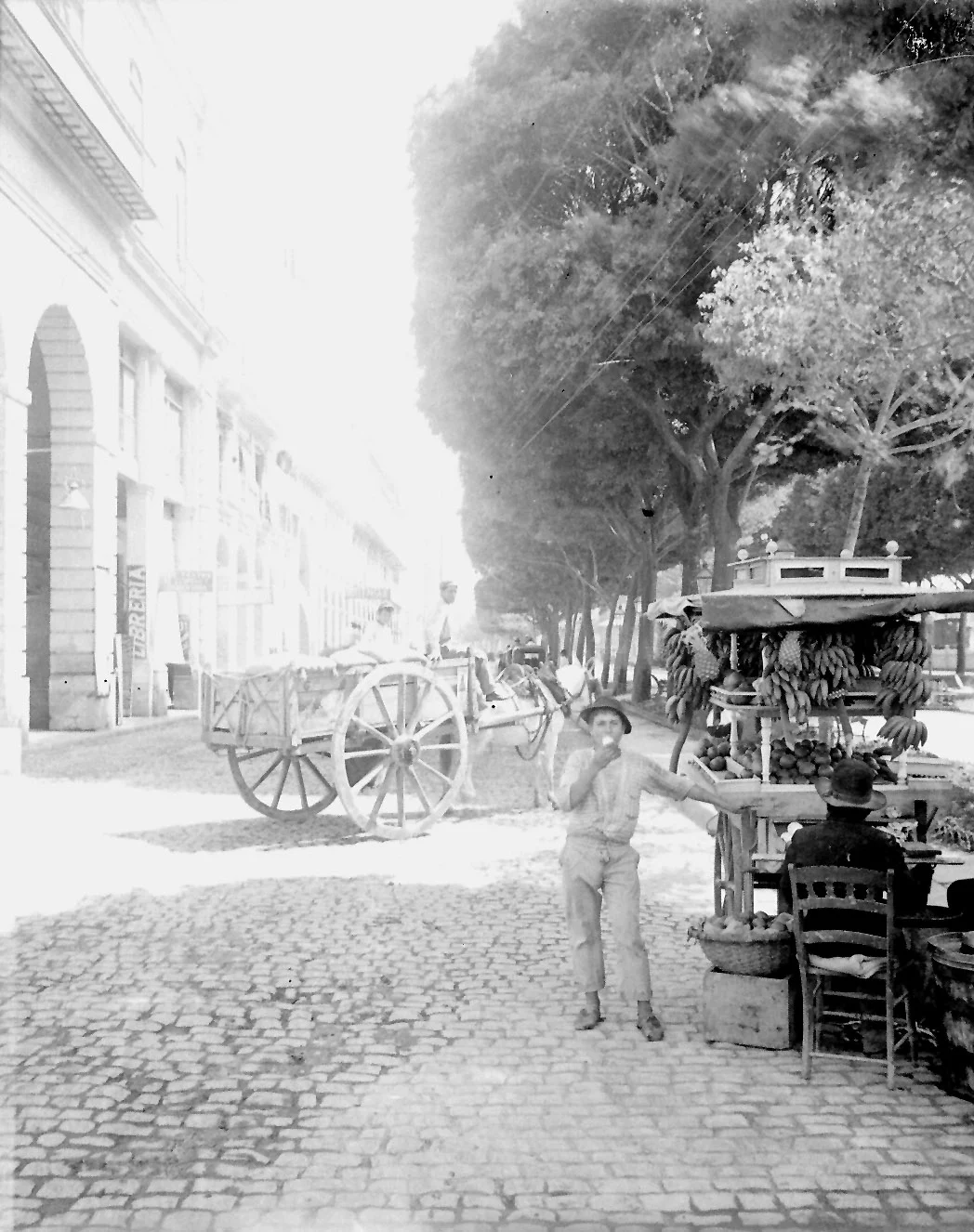 Náhledový obrázek předmětu Pohled do ulice Paseo Marti