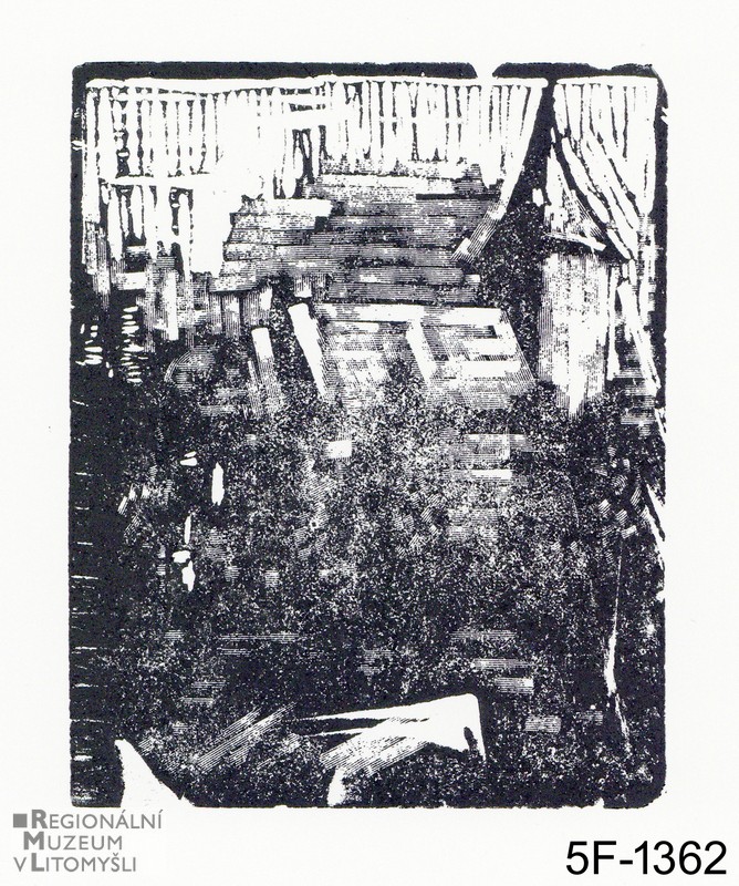 Náhledový obrázek Štoček tiskařský - 1