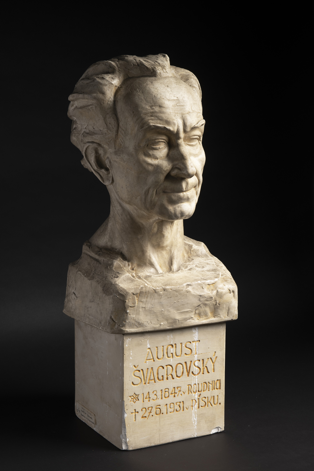 Náhledový obrázek Podobizna A. Švagrovského - 2