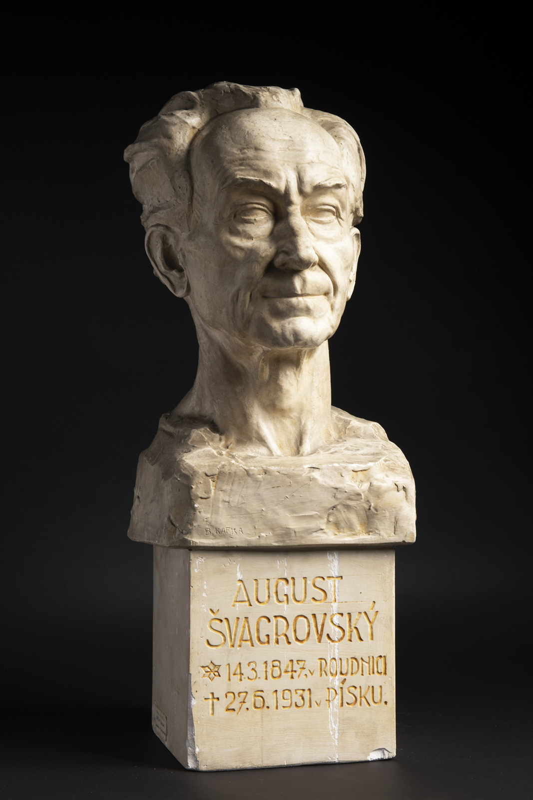 Náhledový obrázek Podobizna A. Švagrovského - 3
