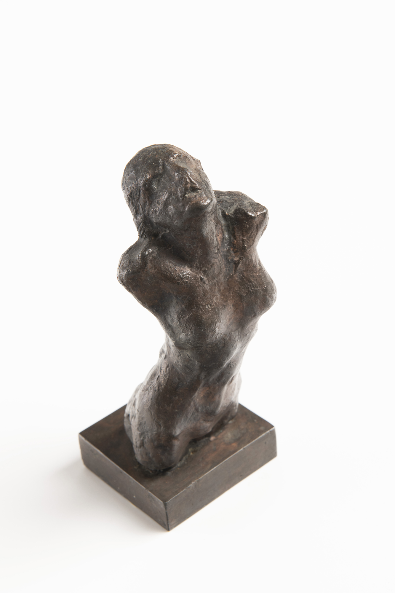 Náhledový obrázek Vzhlížející torso - 3