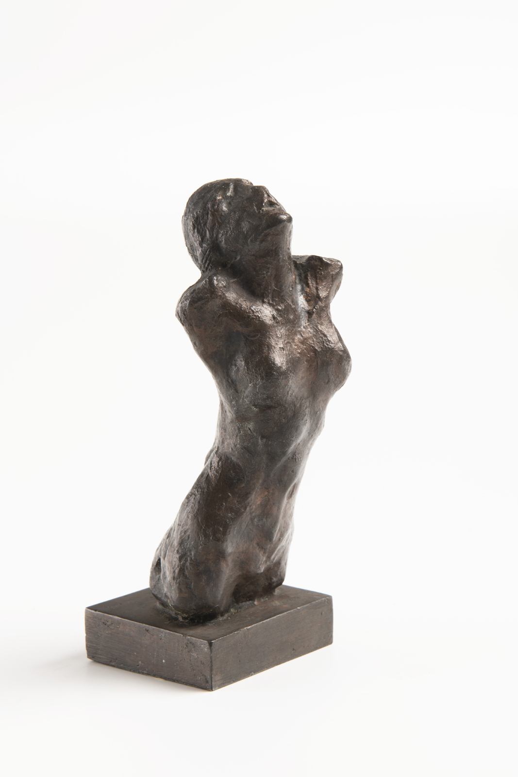 Náhledový obrázek Vzhlížející torso - 1
