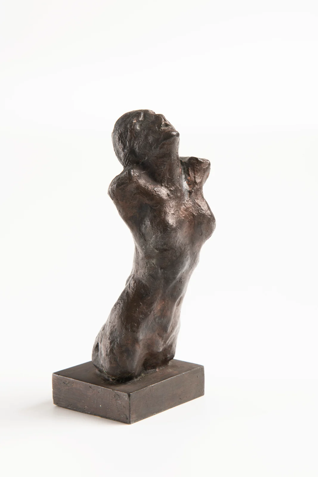 Náhledový obrázek předmětu Vzhlížející torso