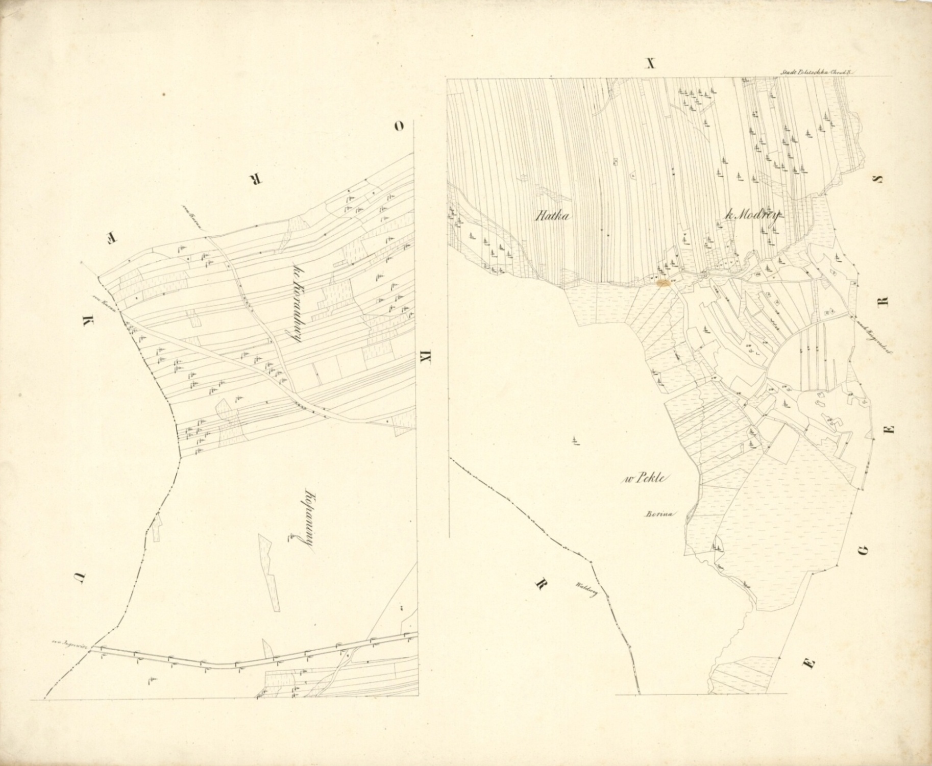 Náhledový obrázek Polička plán katastrální 1839 - plán - 7